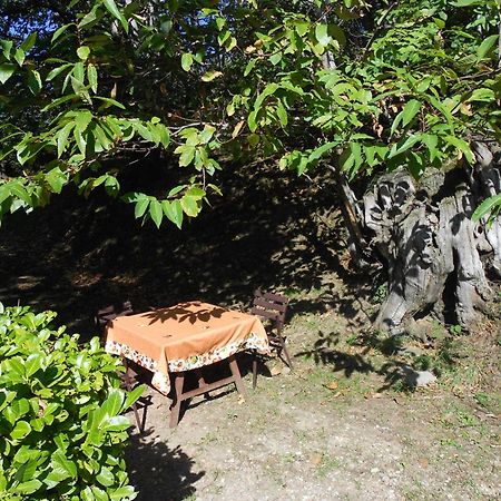 Fattoria Il Praticino Villa Castelfranco di Sopra ภายนอก รูปภาพ