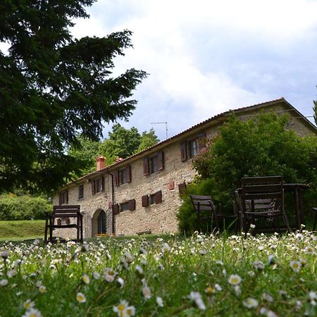 Fattoria Il Praticino Villa Castelfranco di Sopra ภายนอก รูปภาพ