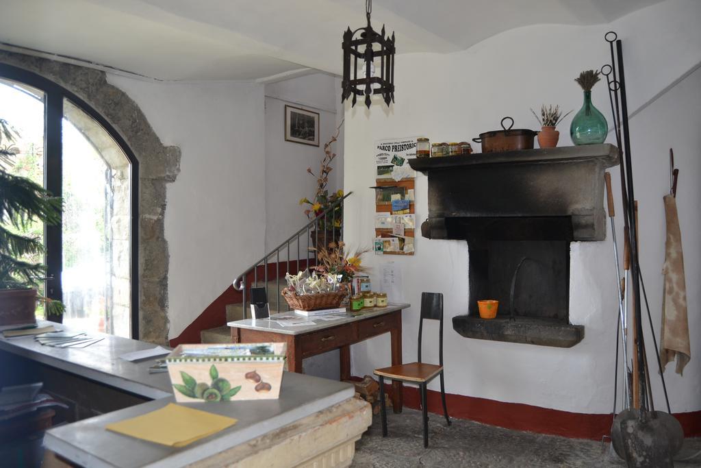 Fattoria Il Praticino Villa Castelfranco di Sopra ภายนอก รูปภาพ