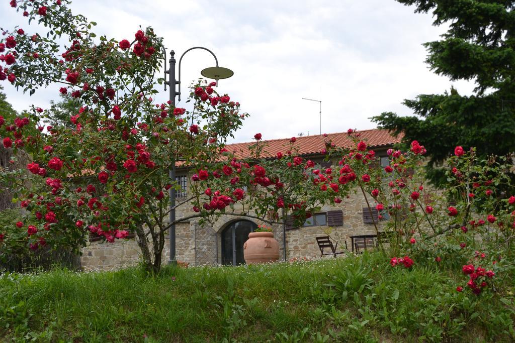 Fattoria Il Praticino Villa Castelfranco di Sopra ภายนอก รูปภาพ