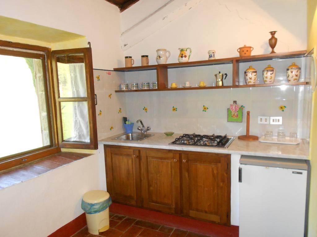 Fattoria Il Praticino Villa Castelfranco di Sopra ภายนอก รูปภาพ