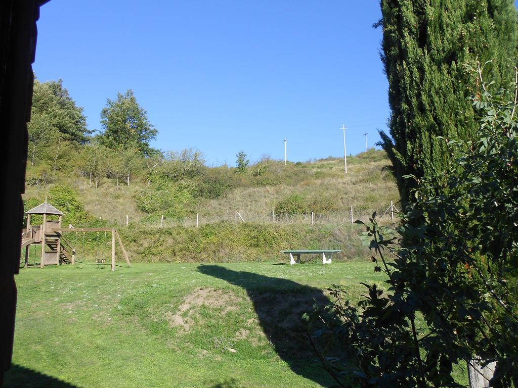 Fattoria Il Praticino Villa Castelfranco di Sopra ภายนอก รูปภาพ